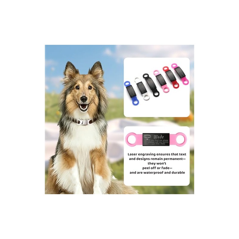 Pack de 3 Custom Slide On Silent Pet ID Tags,