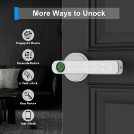HEIXSMT Fingerprint Door knob, Fingerprint Door Lock with Keypads,Keyfob Card,Bluetooth,Key,Biometric Smart Lock for Home Bedroom Apartment
