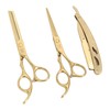 Hair Cutting Thinning Scissors Set Stainless Steel Hairdressing Haircut Stylish