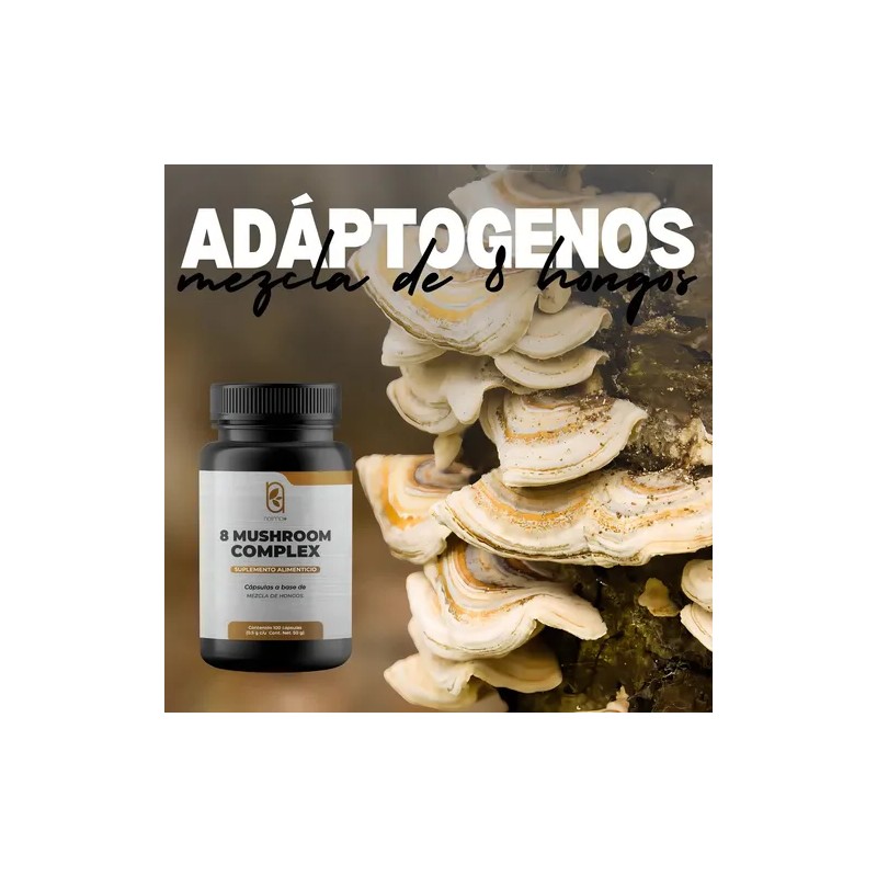 Naima+ Suplemento 8 Hongos Adaptógenos Cápsulas Reishi Cordyceps Shiitake Sin