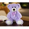 SNOWOLF Bear Plush Cute Stuffed Animal Toys Pillow Bear Doll