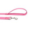 TAIAN 5 FT Strong Dog Leash, Nylon Dog Leashes for