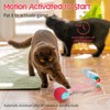 PLITTPETTS Interactive Cat Toys Ball for Indoor Cats, 2025 New