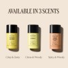 L'Occitane Desodorante Stick Eau De Baux 75ml