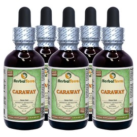 Caraway (Carum Carvi) Glycerite, Organic Dried Fruits Alcohol-Free Liquid Extract (Brand Name: HerbalTerra, Proudly Made in USA) 5x2 fl.oz (5x60 ml)
