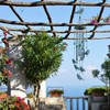 Monsiter QE Bird Wind Chimes for Outside, Outdoors Wind Chimes