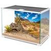 AWERT 48x24 inches Reptile Habitat Background Blue Sky Oasis Cactus