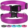 Reflective Dog Collar with Buckle Adjustable Safety Nylon Collars for