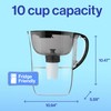 Brita™ Large 10 Cup Pitcher - Brita Plus Filter, Everyday,