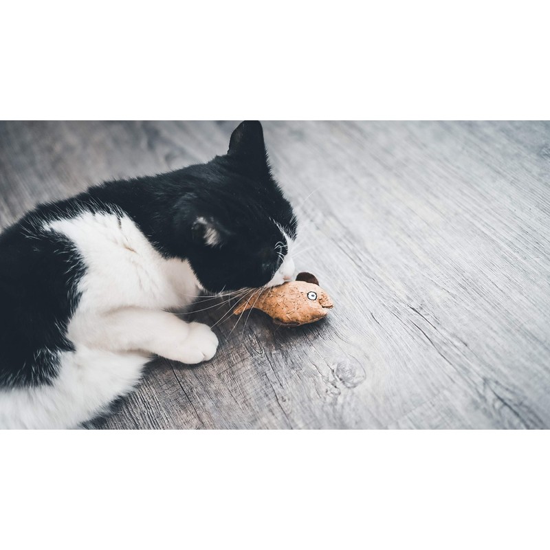 Aime 9cm Natural Cork Cat Toy with Catnip for Claws