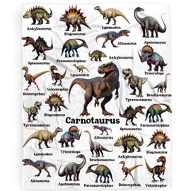Dinosaur Blanket Gift for Boys, Jurassic Dino Dinosaurs Throw Blanket Gifts for Teens Girls Animal Wild Decor Plush Soft Lightweight Flannel Fleece Dinosaurs Blankets for Sofa Bed Chair 60x50In