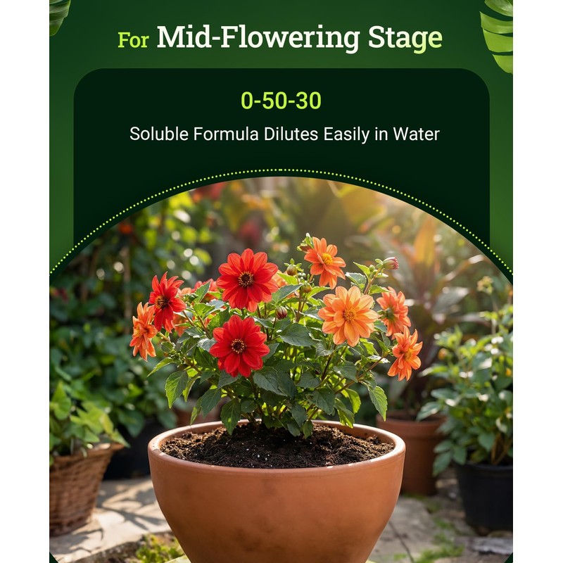 FoxFarm Beastie Bloomz Water Soluble Fertilizer for Mid-Flowering Stage, High