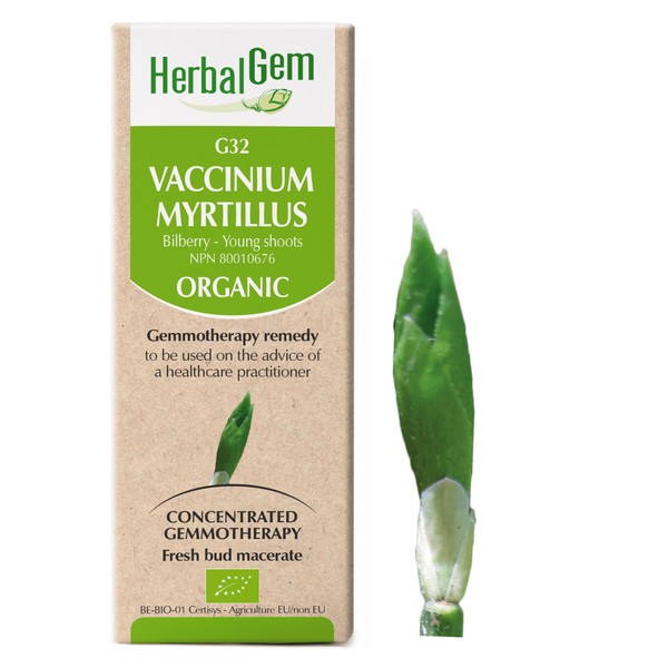 HerbalGem Gemmotherapy G32 Vaccinium myrtillus 50 ml