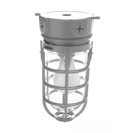 Woods L1706 Vandal Resistant Security Light With Ceiling Mount (150W Incandes...