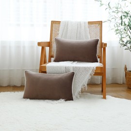 LIGICKY Set of 2 Light Brown Velvet Lumbar Pillow Covers Modern Minimalist Style Solid Decorative White Rope Edging Soft Rectangle Cushion Cases for Sofa Bedroom Party Décor, 12 x 20 inch