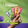 Electrolitos Creatina 45 Sobres Electroblend Creatine B Life