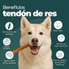 Premios - Tendones de Res Libre Pastoreo - Masticable 100%