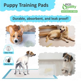 Puppy Pee Pads 23"x36" - Ultra-Absorbent Training & Potty Wee Wee Pads for Puppies, Dogs, and Pets - Leak-Proof, Quick-Dry, Odor-Control for Crate, Housebreaking, Travel, and Indoor Use (50)