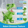 Power Your Fun Robo Pets T-Rex Dinosaur Toy for Boys