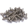 Henne Bery Wall Plate Screw Pack (3/4", 30 pcs, Nickel)
