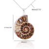 BOBEINI Natural Ammonite Fossil Pendant Jewellery Clay Silver Ammonite Fossil