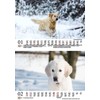 Hundezauber Golden Retriever DIN A5 Calendar for 2025 Puppies and