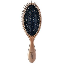 Wonder Brush Wet and Dry Brush, HLBW07, Gold