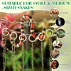 Coldairsoap Snake Climbing Vines with Reptile Plants Kit, Handcrafted Jungle