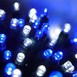 Wintergreen Lighting 70 5mm LED Blue and White Christmas Lights, 24' Christmas Lights LED String Lights Holiday Lights Mini Lights Wide Angle Blue-Cool White Christmas String Lights