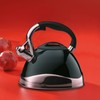 Kela Varus Kettle with Whistle, Suitable for Induction Cookers 3.0L