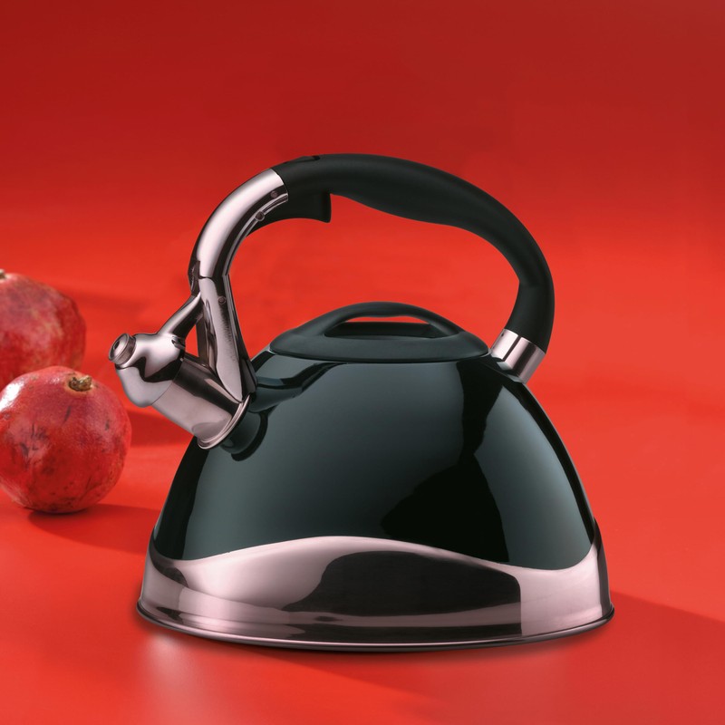 Kela Varus Kettle with Whistle, Suitable for Induction Cookers 3.0L
