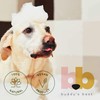 Buddy's Best Dog Shampoo for Smelly Dogs - Oatmeal Dog