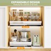 DOMNIU 2 Pack Pull Out Cabinet Organizers Expandable (13''-19''), Plastic