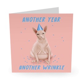 Central 23 - Funny Animal Birthday Card - “Sphynx Cat Another Year Another Wrinkle” - For Men & Women - Mum Dad Husband Wife Brother Sister 21st 25th 30th 40th 50th 60th - Comes with Fun Stickers