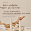 mixsoon- Bálsamo labial vegano derretido (rosa seca) 0,14 oz 4,1