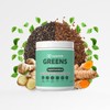 nutriADN Greens Support Superfood Blend L-Glutamina L-Teanina Con Cúrcuma, Jengibre