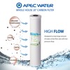 APEC Water Systems FI-CAB20-BB APEC 20" Whole House High Flow