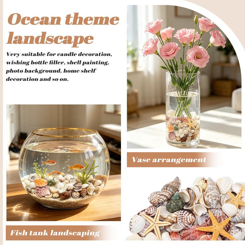 Griwuut 16 Kinds Natural Sea Shell, Mixed Ocean Shells Set