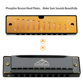 EastRock Blues Harmonica Mouth Organ 10 Hole C Key with Case, Diatonic Harmonica for Professional Player, Beginner, Students gifts, Adult, Friends, Gift Black