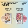 Clairol Blonde It Up Crystal Glow Toner Kit - Rose