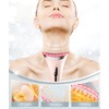 Dopsikn 7 Color Light Therapy Facial Massager with Adjustable Vibration