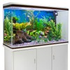 AWERT 48x18 inches Aquarium Background Aquatic Plant River Bed &