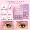 Lash Clusters DIY Eyelash Extensions 120 PCS Individual Cluster Lashes