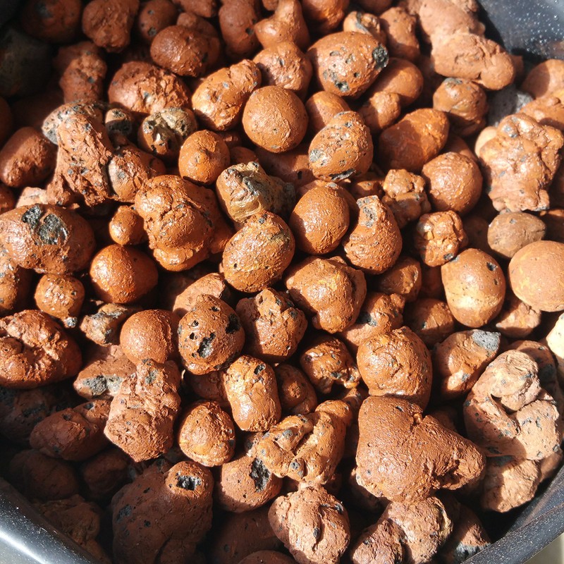 Hydro Clay Pebbles (Leca Stones) Orchid/Hydroponic Grow Media - 2