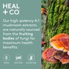 HEAL+CO super mushroom complex 120 vegi caps