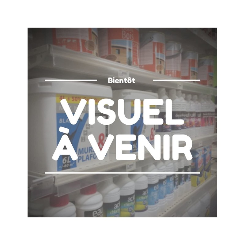 Perel Smart Wi-Fi LED lamp with filament - warm white