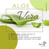 Suero Antiedad de Argán y Crema de Aguacate Neem