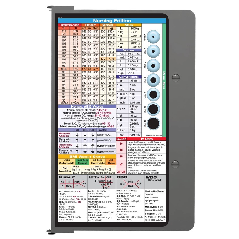 Whitecoat Clipboard® Concealed - Silver Nursing Edition