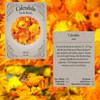 Flower Seed Set - Flower Varieties of Non-GMO & Heirloom