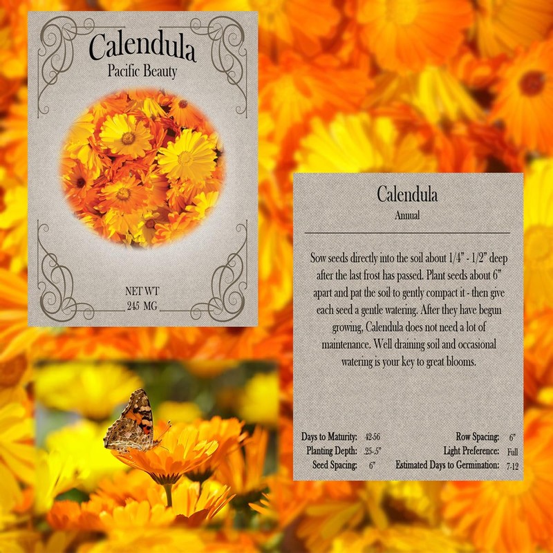 Flower Seed Set - Flower Varieties of Non-GMO & Heirloom